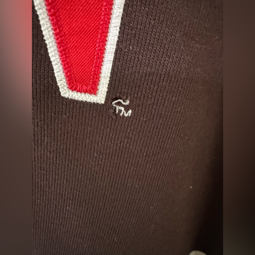 Used Brown University Champion Hoodie - Picture 3 of 5